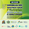 Flyer: 3RD NDC Investment Forum - March 31st - April 2nd